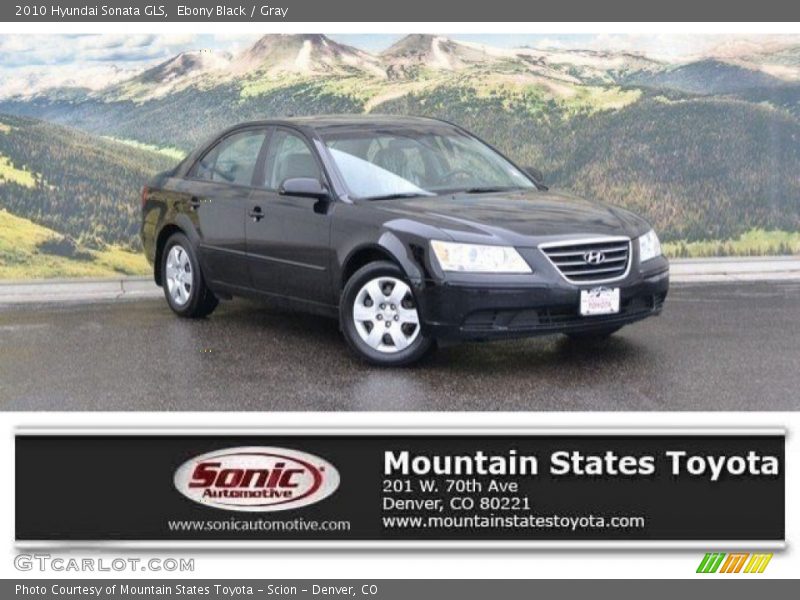 Ebony Black / Gray 2010 Hyundai Sonata GLS