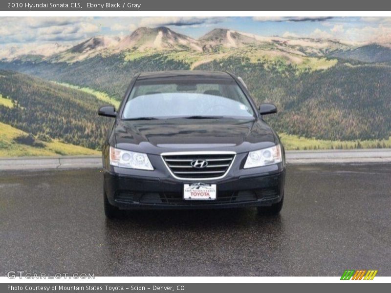 Ebony Black / Gray 2010 Hyundai Sonata GLS