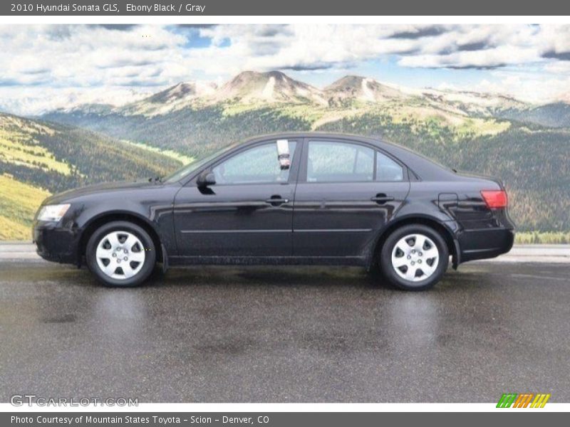 Ebony Black / Gray 2010 Hyundai Sonata GLS