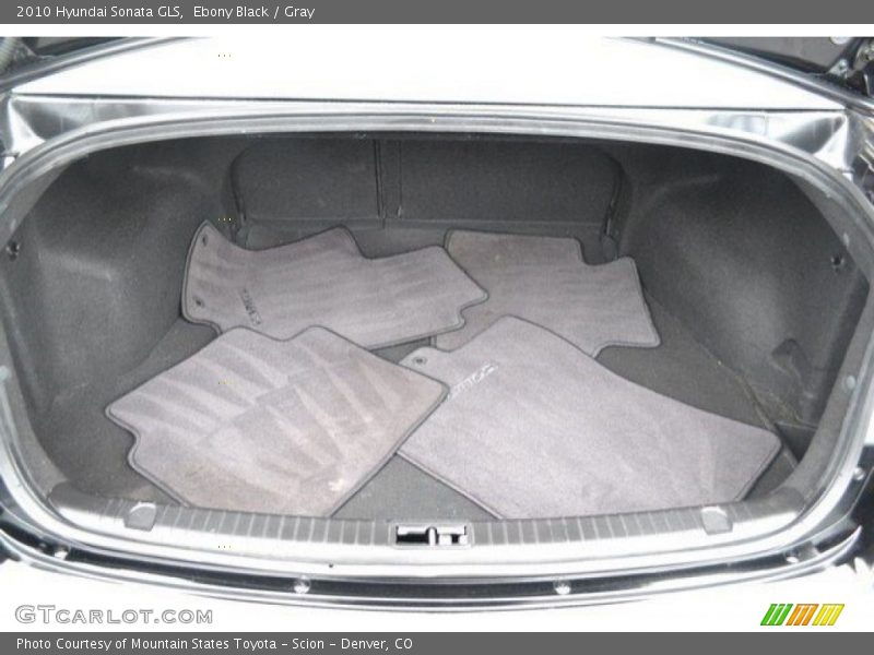 Ebony Black / Gray 2010 Hyundai Sonata GLS