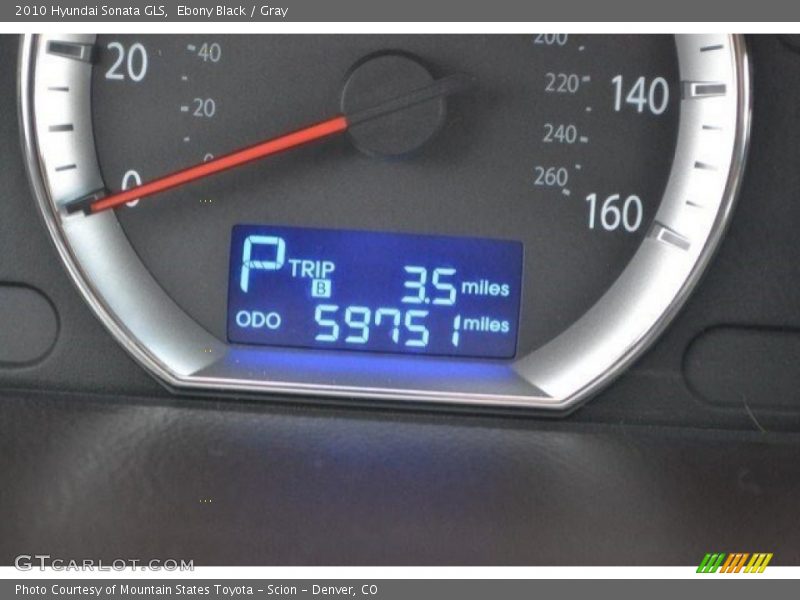 Ebony Black / Gray 2010 Hyundai Sonata GLS