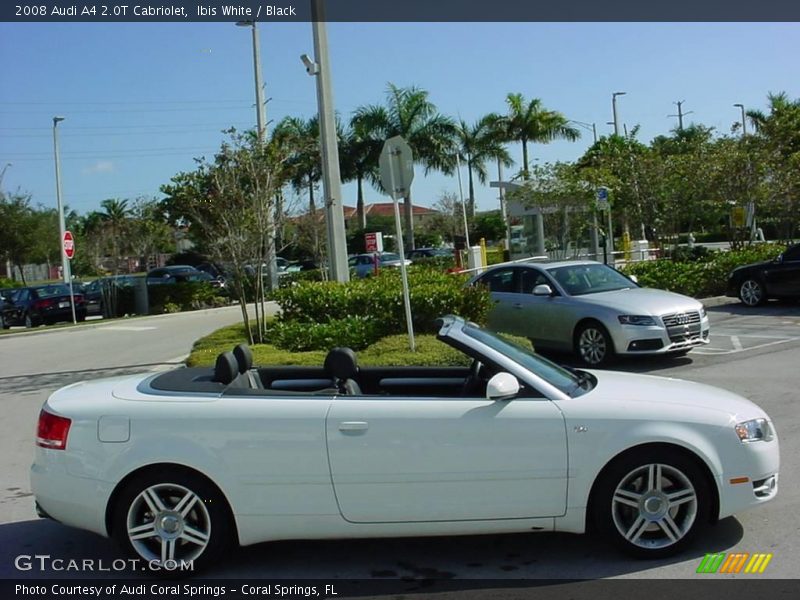 Ibis White / Black 2008 Audi A4 2.0T Cabriolet