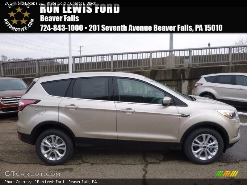 White Gold / Charcoal Black 2017 Ford Escape SE