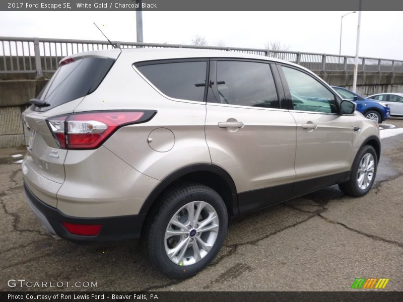 White Gold / Charcoal Black 2017 Ford Escape SE