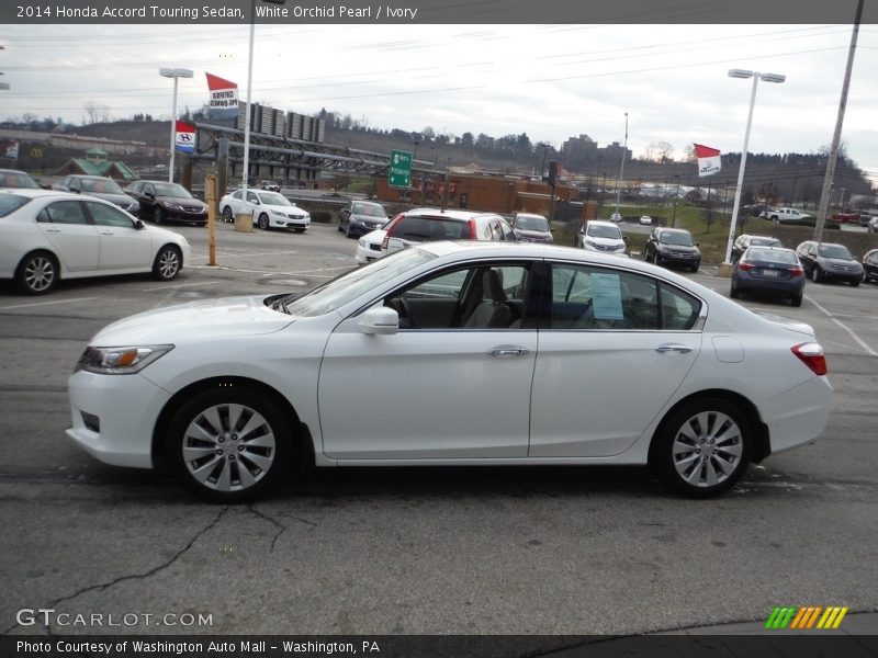 White Orchid Pearl / Ivory 2014 Honda Accord Touring Sedan