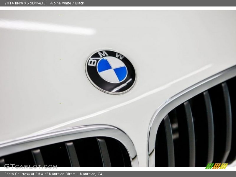 Alpine White / Black 2014 BMW X6 xDrive35i