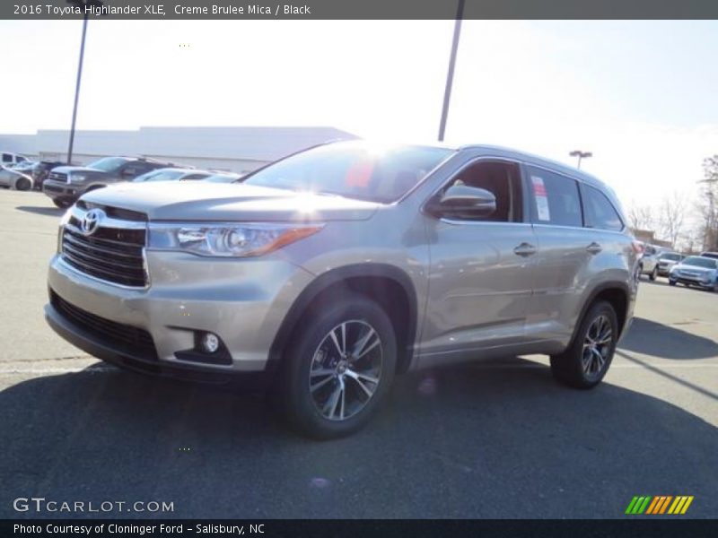 Creme Brulee Mica / Black 2016 Toyota Highlander XLE