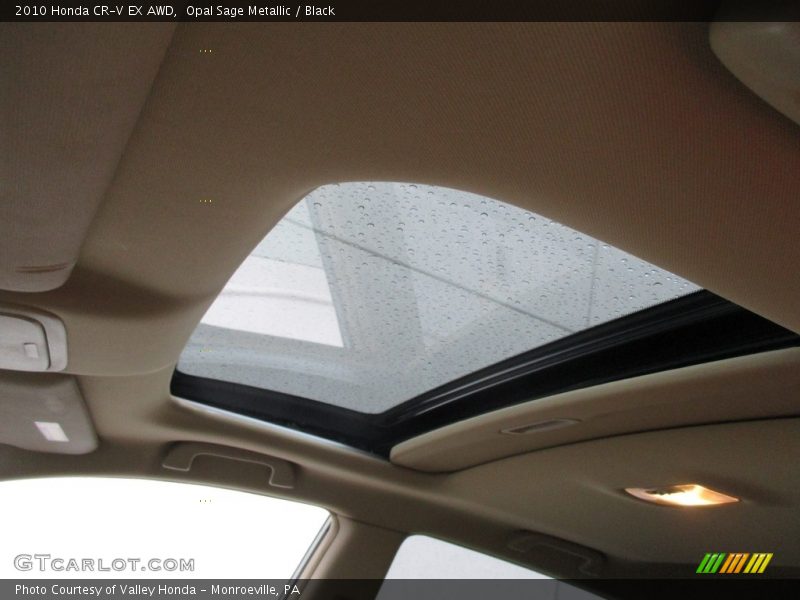 Opal Sage Metallic / Black 2010 Honda CR-V EX AWD