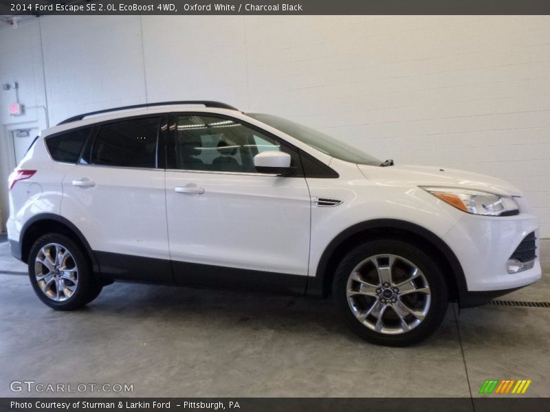 Oxford White / Charcoal Black 2014 Ford Escape SE 2.0L EcoBoost 4WD