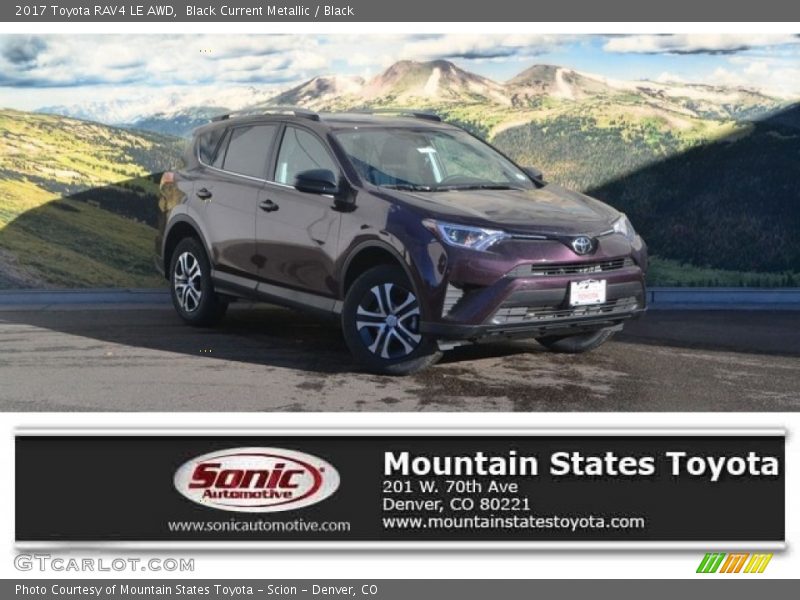 Black Current Metallic / Black 2017 Toyota RAV4 LE AWD