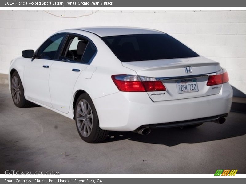 White Orchid Pearl / Black 2014 Honda Accord Sport Sedan