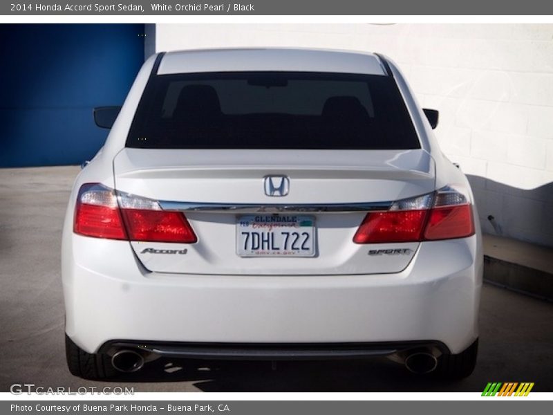 White Orchid Pearl / Black 2014 Honda Accord Sport Sedan