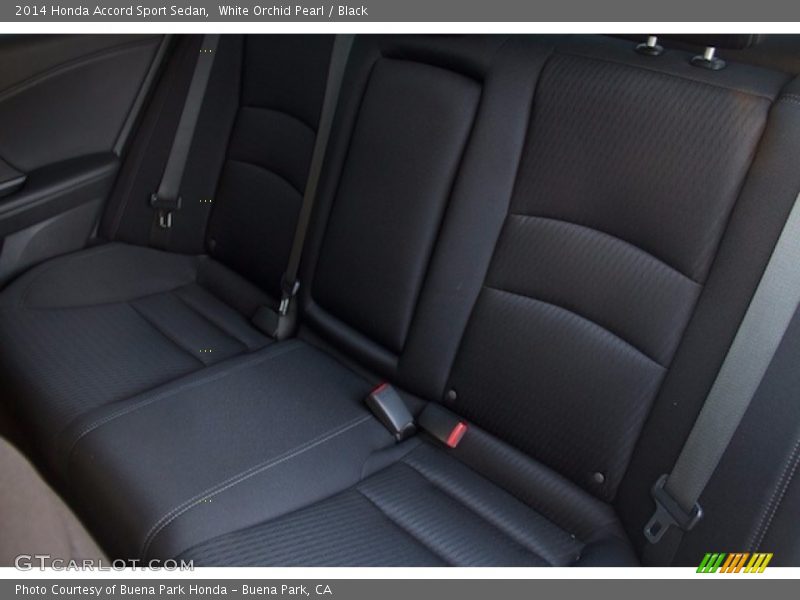 White Orchid Pearl / Black 2014 Honda Accord Sport Sedan