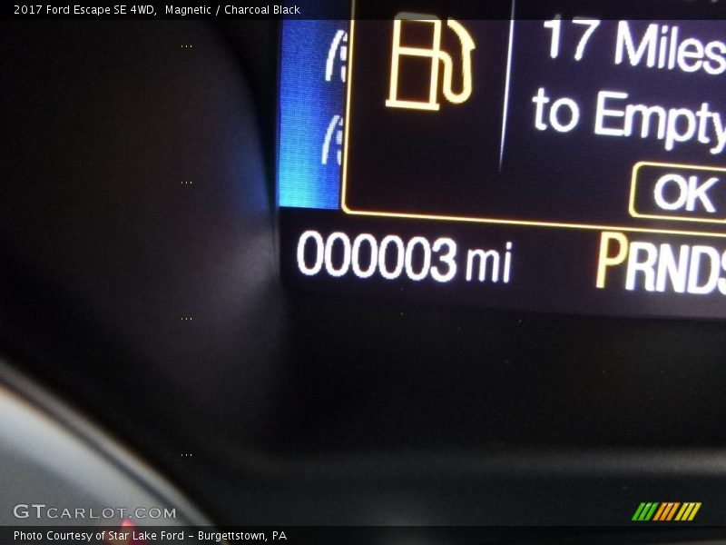 Magnetic / Charcoal Black 2017 Ford Escape SE 4WD