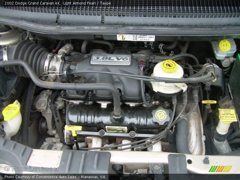 Light Almond Pearl / Taupe 2002 Dodge Grand Caravan eX