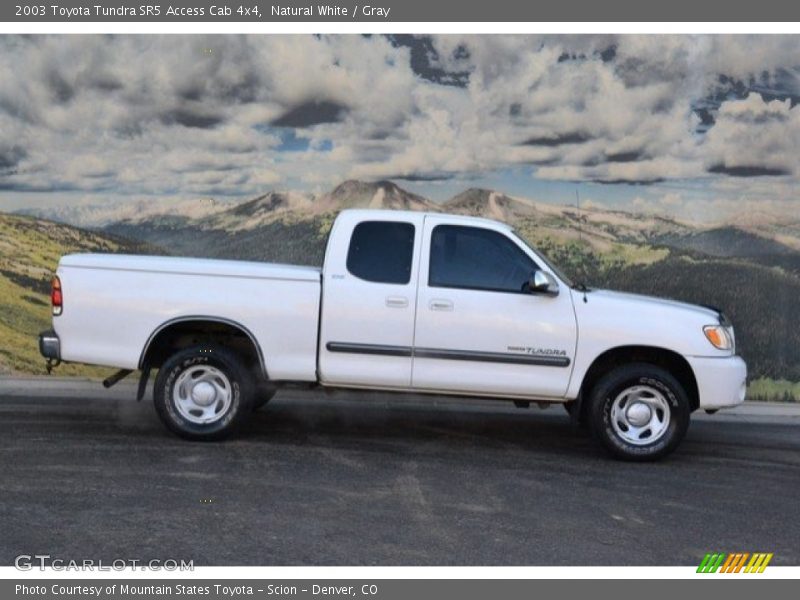 Natural White / Gray 2003 Toyota Tundra SR5 Access Cab 4x4