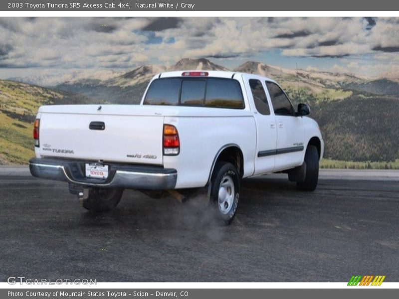 Natural White / Gray 2003 Toyota Tundra SR5 Access Cab 4x4