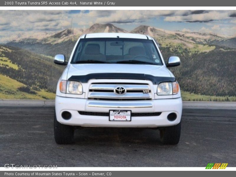 Natural White / Gray 2003 Toyota Tundra SR5 Access Cab 4x4