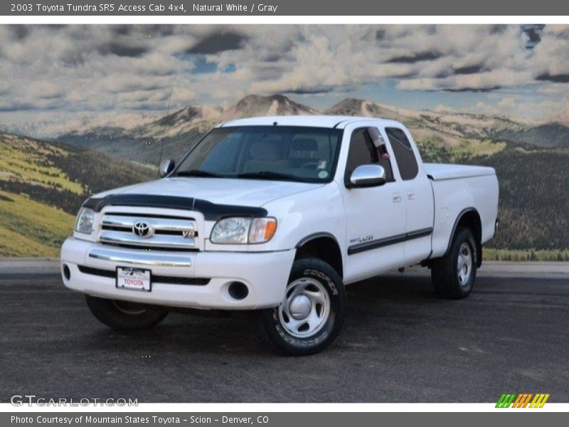 Natural White / Gray 2003 Toyota Tundra SR5 Access Cab 4x4