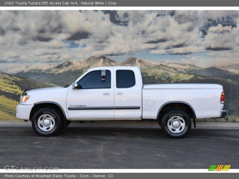 Natural White / Gray 2003 Toyota Tundra SR5 Access Cab 4x4