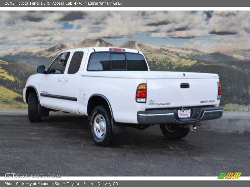 Natural White / Gray 2003 Toyota Tundra SR5 Access Cab 4x4