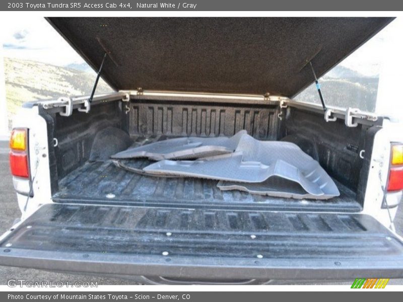 Natural White / Gray 2003 Toyota Tundra SR5 Access Cab 4x4