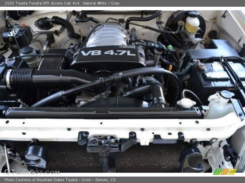 Natural White / Gray 2003 Toyota Tundra SR5 Access Cab 4x4