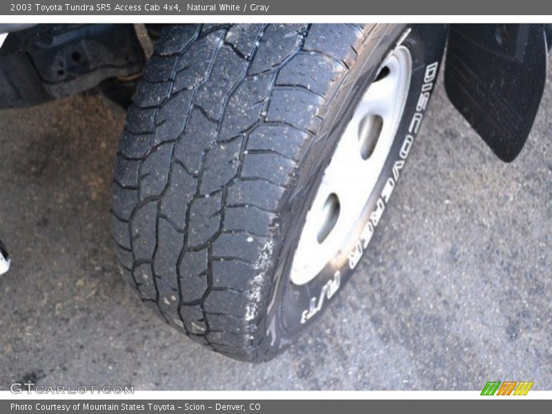 Natural White / Gray 2003 Toyota Tundra SR5 Access Cab 4x4