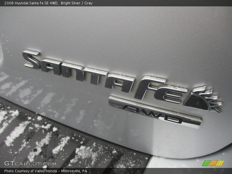 Bright Silver / Gray 2008 Hyundai Santa Fe SE 4WD