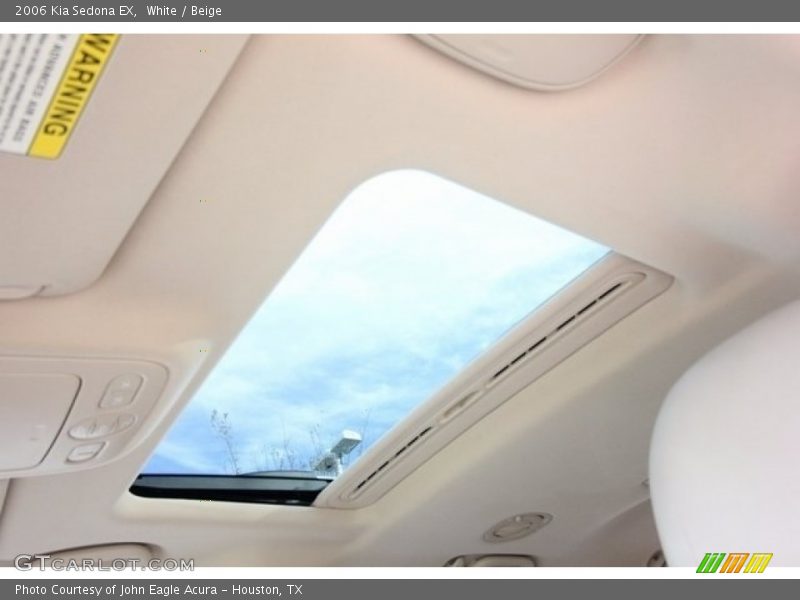 White / Beige 2006 Kia Sedona EX