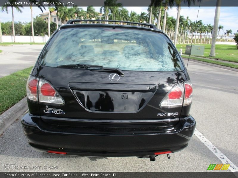 Black Onyx / Ivory 2003 Lexus RX 300