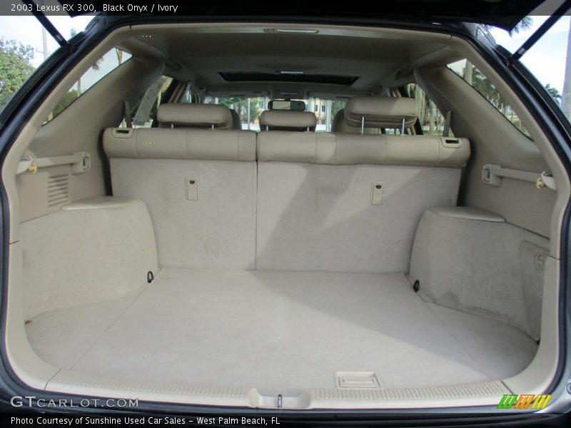 Black Onyx / Ivory 2003 Lexus RX 300