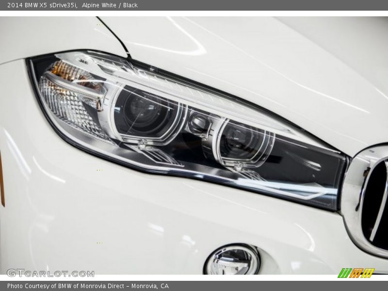 Alpine White / Black 2014 BMW X5 sDrive35i