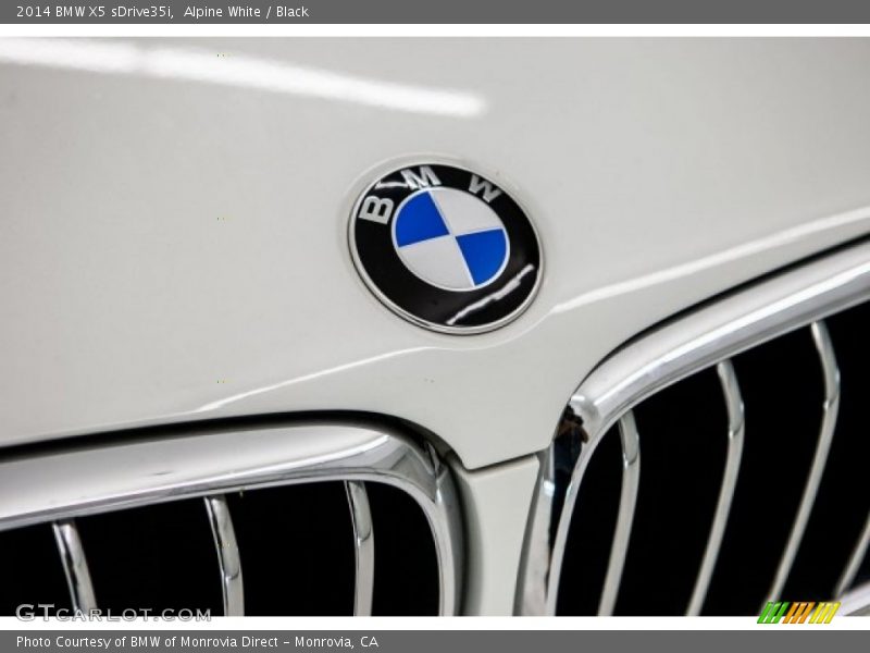 Alpine White / Black 2014 BMW X5 sDrive35i