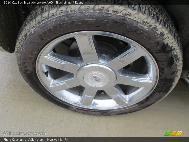 Silver Lining / Ebony 2010 Cadillac Escalade Luxury AWD