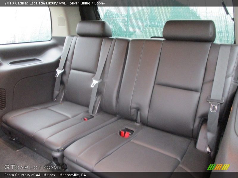 Silver Lining / Ebony 2010 Cadillac Escalade Luxury AWD