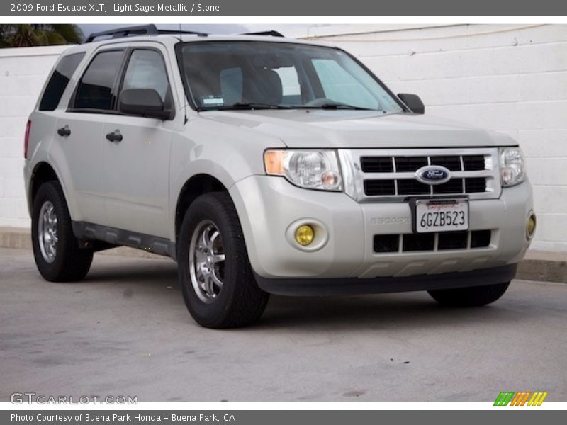 Light Sage Metallic / Stone 2009 Ford Escape XLT