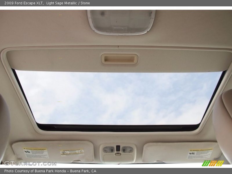 Light Sage Metallic / Stone 2009 Ford Escape XLT