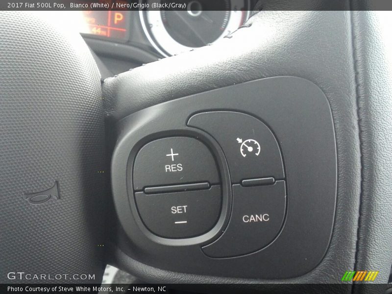 Controls of 2017 500L Pop