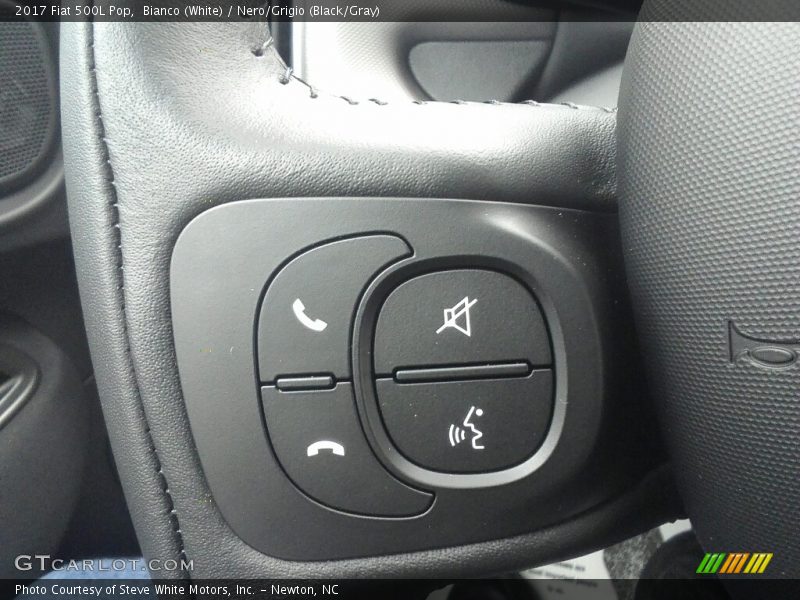 Controls of 2017 500L Pop