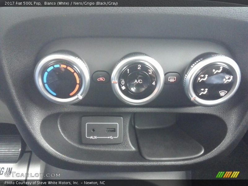 Controls of 2017 500L Pop