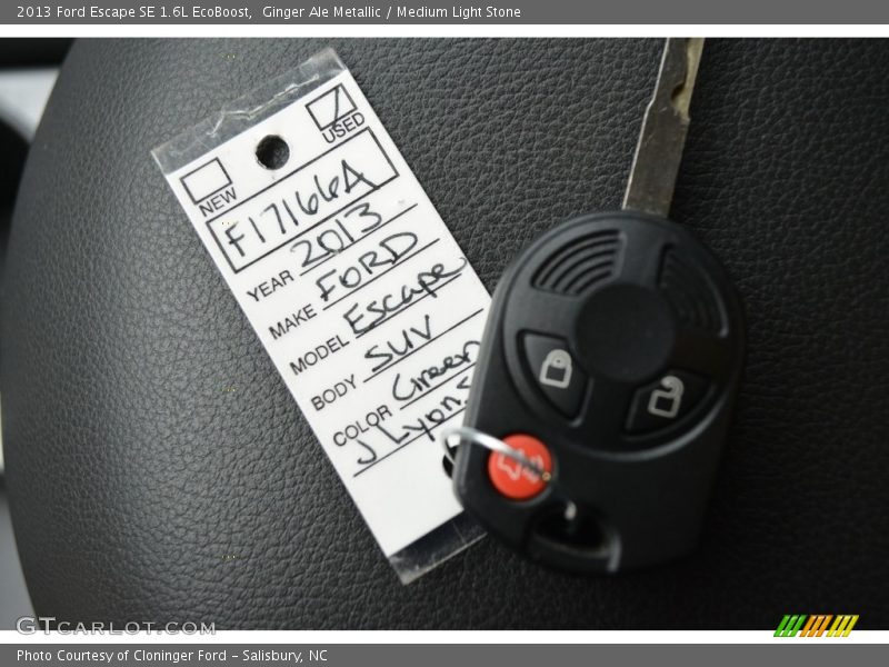 Ginger Ale Metallic / Medium Light Stone 2013 Ford Escape SE 1.6L EcoBoost