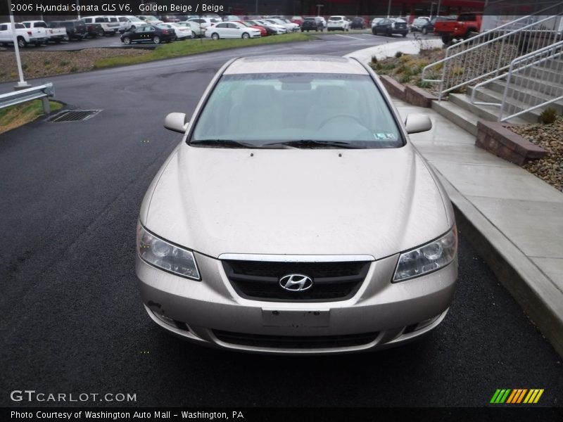 Golden Beige / Beige 2006 Hyundai Sonata GLS V6