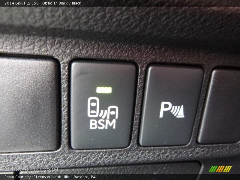 Obsidian Black / Black 2014 Lexus ES 350