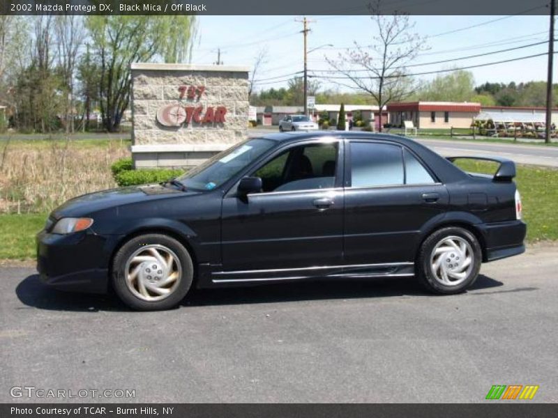 Black Mica / Off Black 2002 Mazda Protege DX