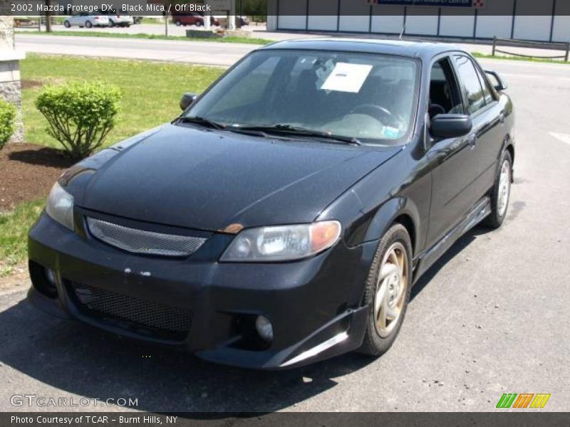 Black Mica / Off Black 2002 Mazda Protege DX