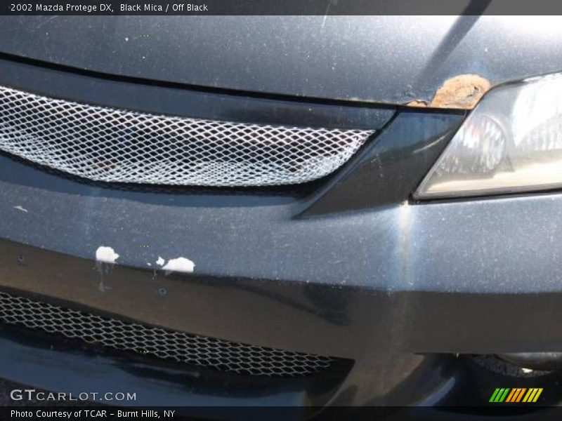Black Mica / Off Black 2002 Mazda Protege DX