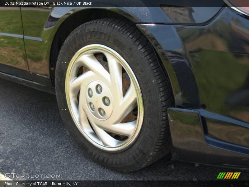 Black Mica / Off Black 2002 Mazda Protege DX