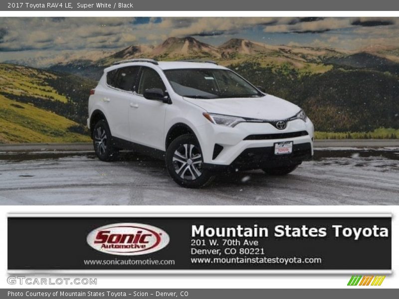 Super White / Black 2017 Toyota RAV4 LE
