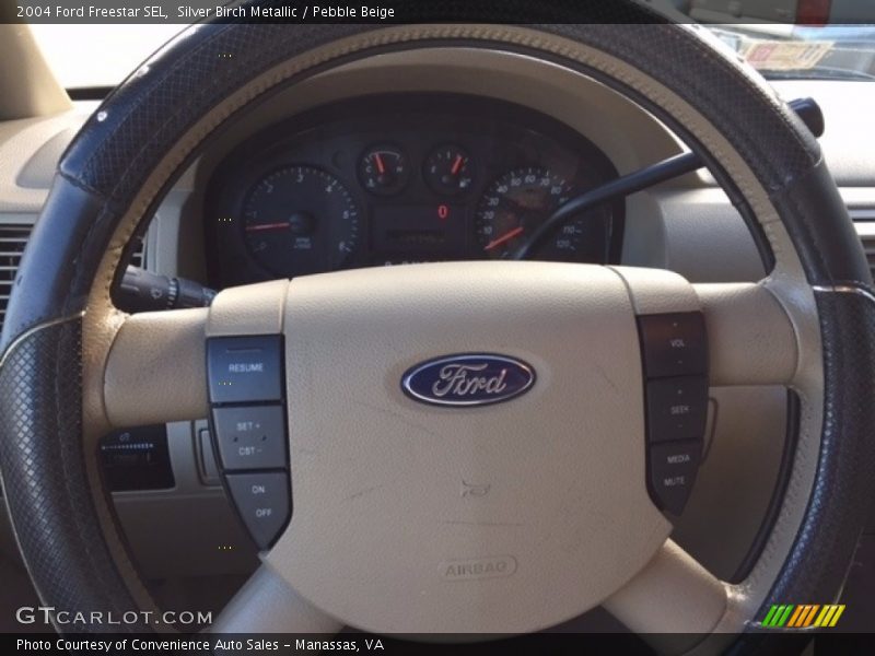 Silver Birch Metallic / Pebble Beige 2004 Ford Freestar SEL